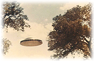 A movie-quality UFO is sighted between the trees somewhere in Northern New Mexico.