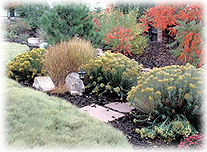 Xeriscaping allows for lush gardens in desert areas where water is short in supply.